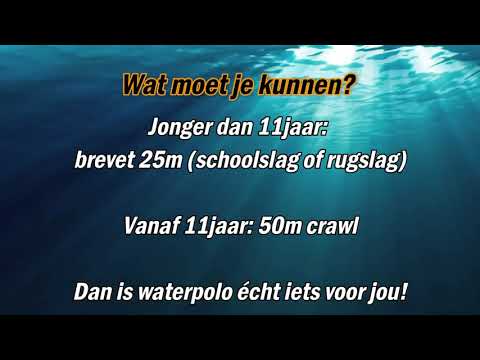 Promotion ASB AquaSportBrugge water polo