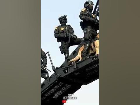 %F0%9F%94%A5%F0%9F%92%AFOur Super Soldiers with Brave Heart %F0%9F%94 ...