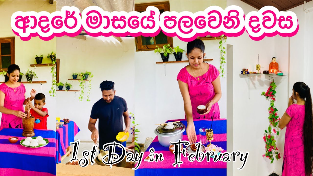පෙබරවාරි මාසය පටන් ගත්තෙ මෙහෙමයි | Day Vlog | February | My Diary | Productive day in our life