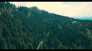 Background video without limitation|free stock footage videos of nature screenshot 5
