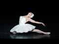 The dying swan  natalia osipova the royal ballet