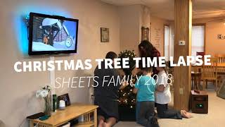 Christmas Tree Time Lapse 2018