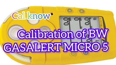Calibration of BW GAS ALERTMICRO 5