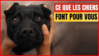 15 choses que vous ne savez PAS mais que vos Chiens font pour vous !