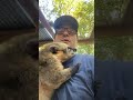 Oh yeah! That’s right my career is cooler than yours. #Zoo #Coatimundi