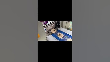 Automatic Pillow Bag Packing Machine for Arabic Bread Flow Wrapper