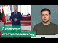 «Если Зеленский дернется - выкинут из бункера» - Лукашенко о переговорах России и Украины