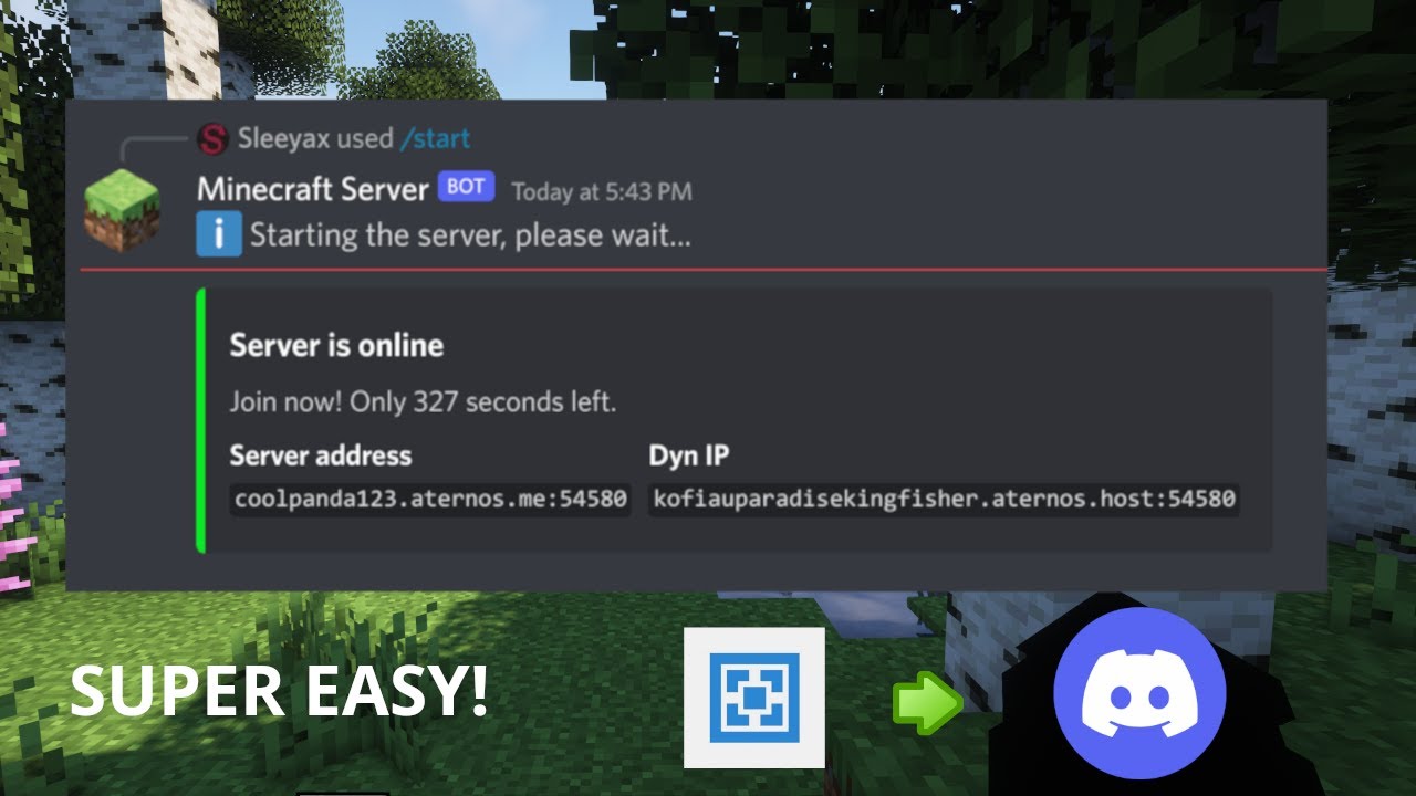 Discord minecraft server