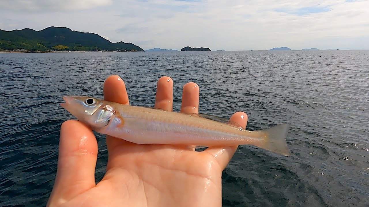 I caught a Japanese fish and immediately made it into tempura, it was too  delicious 