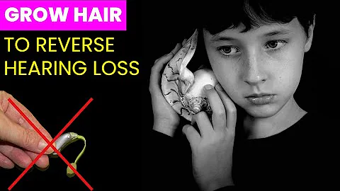 Reverse Hearing Loss by Regrowing Hair Cells | Future Technology & Science News 117