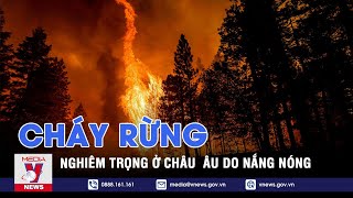 Nắng nóng kỷ lục gây cháy rừng ở nhiều nước châu Âu – VNEWS