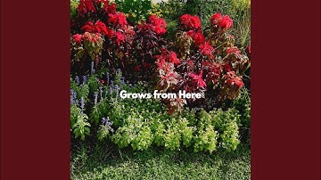 High Class Backdrops for Atmospheric After Hours