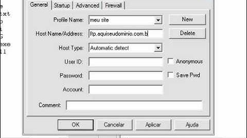 Hotel da WEB - Acessando o FTP através do WS_FTP