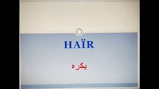 Les Mots Les Plus Utilisés En Français الكلمات الأكثر إستعمالا في الفرنسية