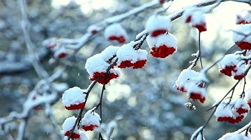 December 13, 2022 One Word Advent Reflection