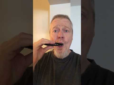 Louisiana Blues (Muddy Waters) - harmonica