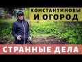 Аллочка, ты же не хотела огород! Просто Константиновы.