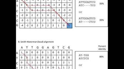 Example: Pairwise Sequence Alignment (Dynamic Programming)