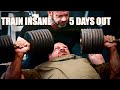 James hollingshead x branch warren  arnold classic peak week  chest training