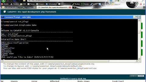 Cakephp Blog Tutorial Part 11 - Baking our Posts