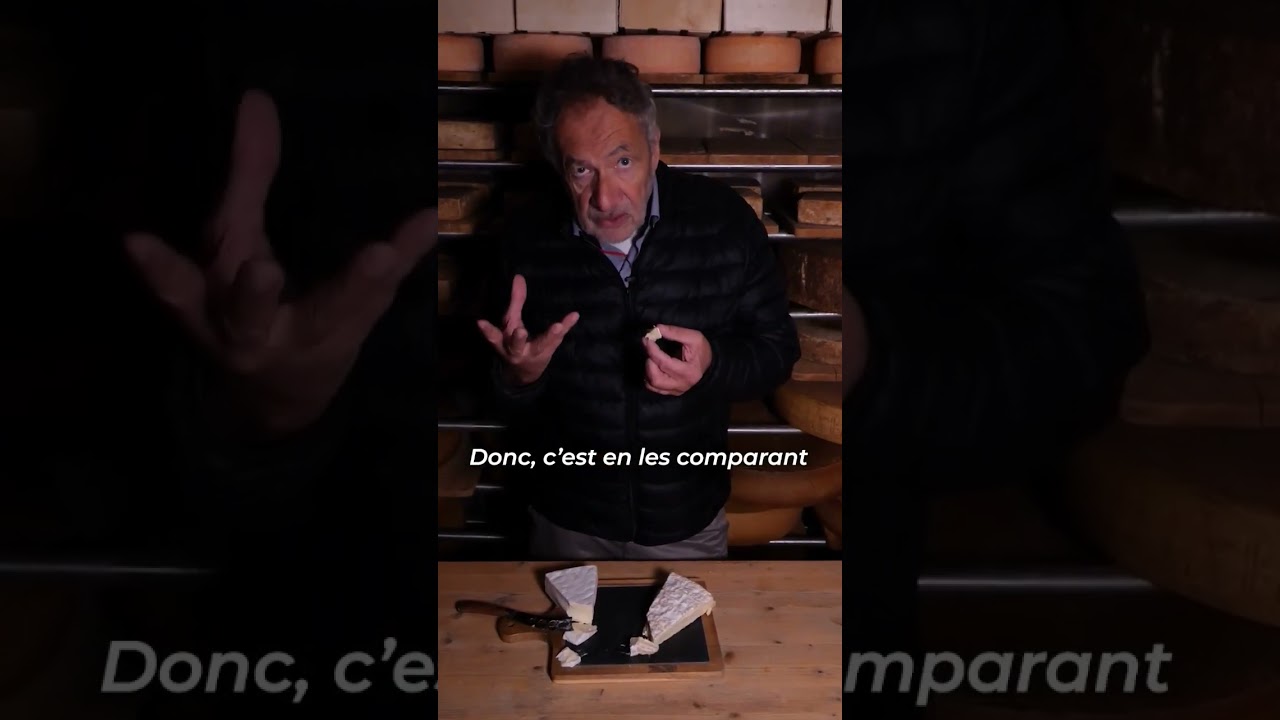 Brie Affiné VS Brie Industriel - Partie 2