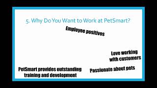 Top 7 PetSmart Interview Questions and Answers by The Complete Guide to Everything 3,430 views 1 year ago 14 minutes, 54 seconds