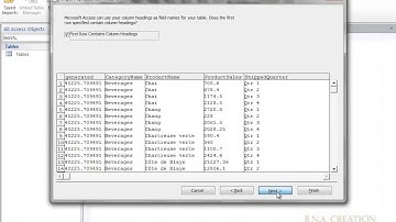 Import excel data in access 2010