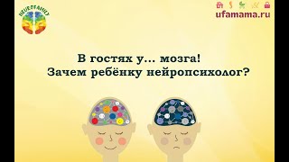 В гостях у... мозга!