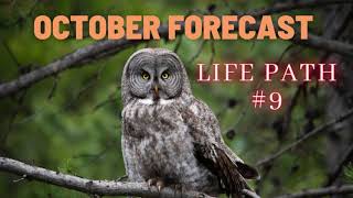 Life Path Number 9 | OCTOBER 2020 Energy Forecast *Podcast* | #numerology #tarot #energy #october