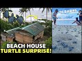 BIG BEACH HOUSE SURPRISE! Turtles Hatch In Front Of Philippines Land (Cateel, Davao)