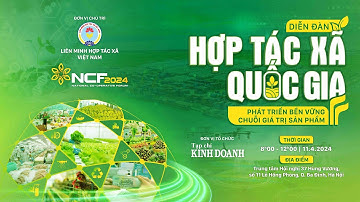 TRAILER DIỄN ĐÀN “ĐỔI MỚI  SÁNG TẠO TRONG BỐI CẢNH CHUYỂN ĐỔI SỐ VÀ PHÁT TRIỂN BỀN VỮNG”