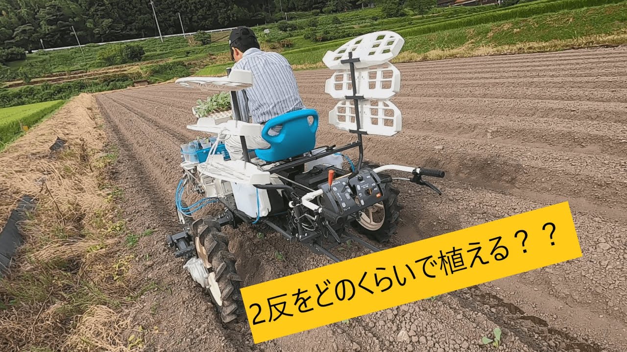定植機（ベジライダー）でキャベツの定植をしたら、2反をあっという間に、、
