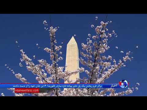 تصویری: نقشه های شکوفه های گیلاس برای واشنگتن دی سی