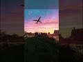 CountrySide Breeze | Blender & Lumion Pro Artwork | 3D Animation | INDUYT
