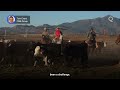 Record Beef Prices Sour the Summer BBQ  | Presented by CME Group