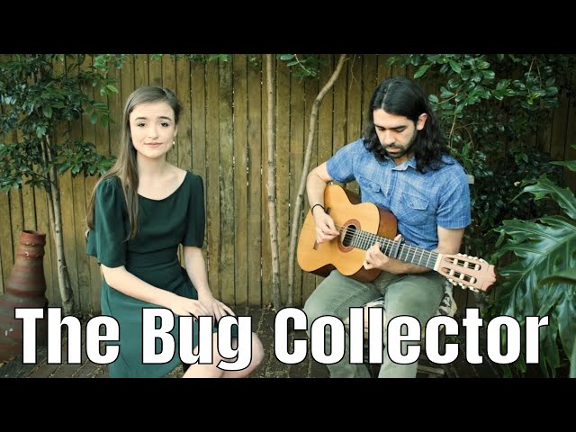 Haley Heynderickx - The Bug Collector [Cover by Sam & Brad] class=