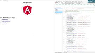 Angular 6 Basics 25 - Building an Angular project