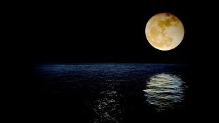 Moonlight Sonata  Beethoven  Vinile Hq Hd