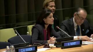 Staying Together  Dialogue in the Face of Violent Extremism  High Level Panel