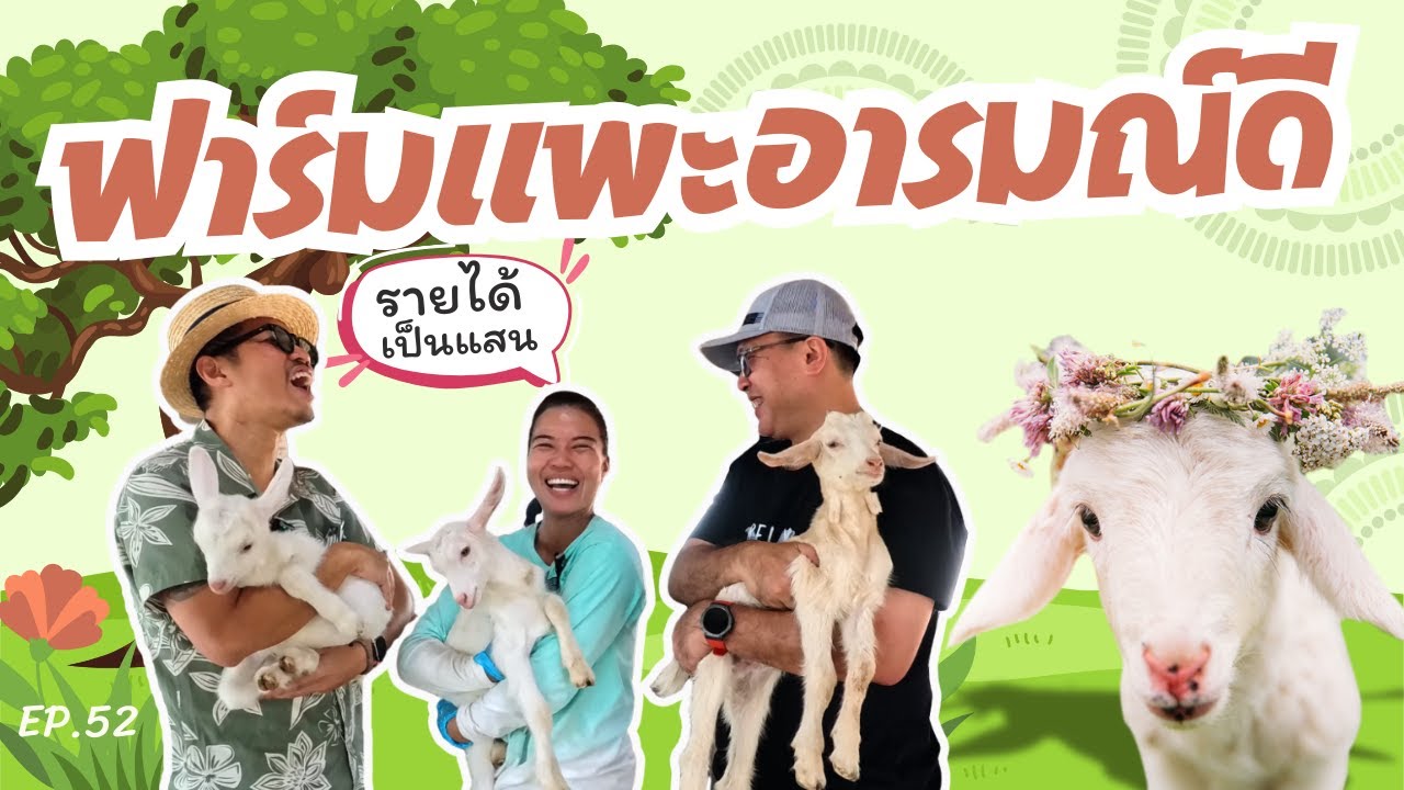 EP.52 ฟาร์มแพะอารมณ์ดี รายได้เป็นแสนต่อเดือน #นนทบุรี #ฟาร์มแพะนม  #เที่ยวเชิงเกษตร #ฟาร์มสัตว์