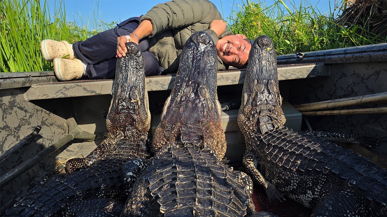 사람도 잡아먹는 3m 짜리 거대한 악어를 밧줄로 잡아서 먹어보자!
