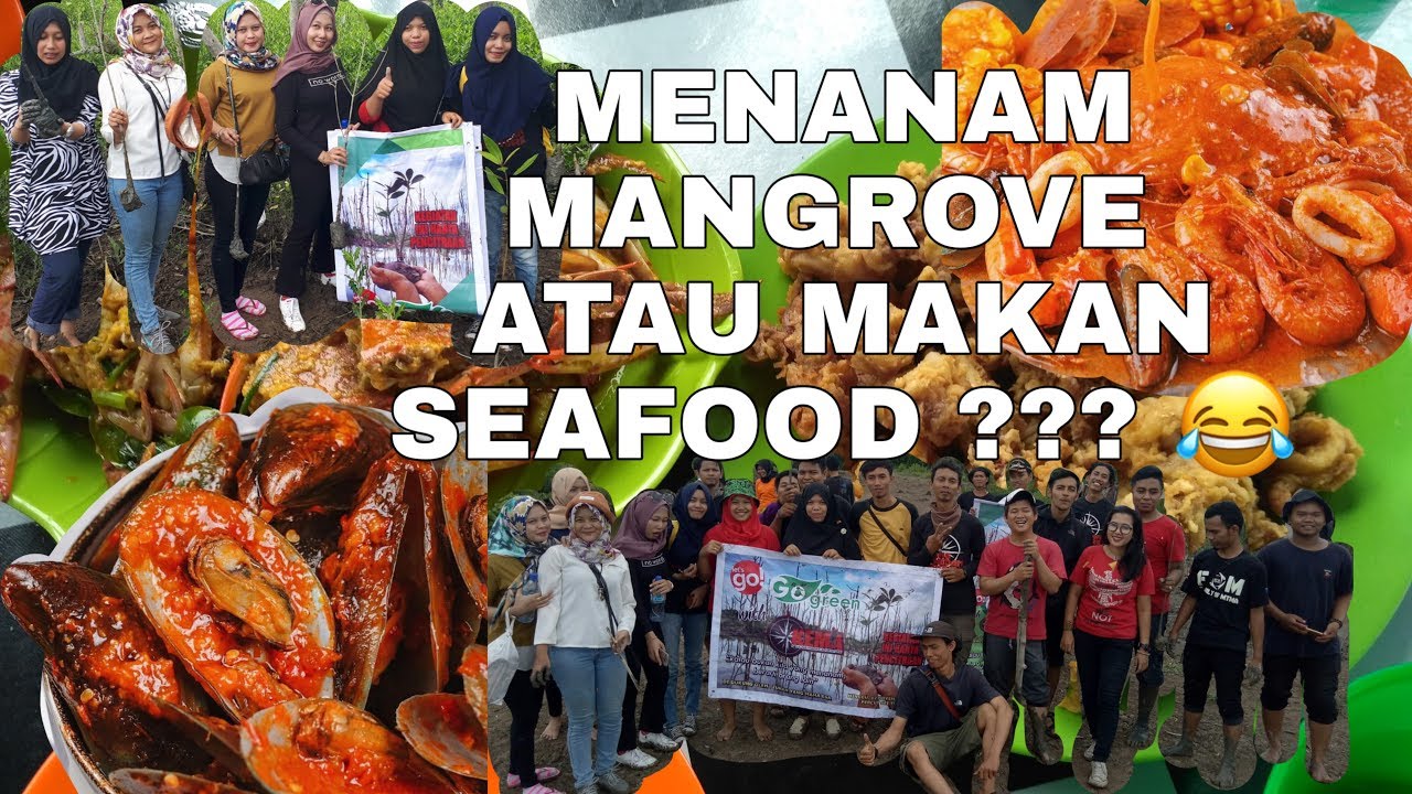 MENANAM MANGROVE ATAU MAKAN SEAFOOD? 