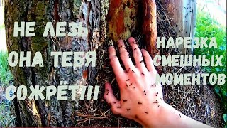 СМЕШНАЯ НАРЕЗКА just do it/НАПАДЕНИЕ МУРАВЬЁВ/ СМЕШНАЯ НАРЕЗКА just do it/НАПАДЕНИЕ МУРАВЬЁВ/