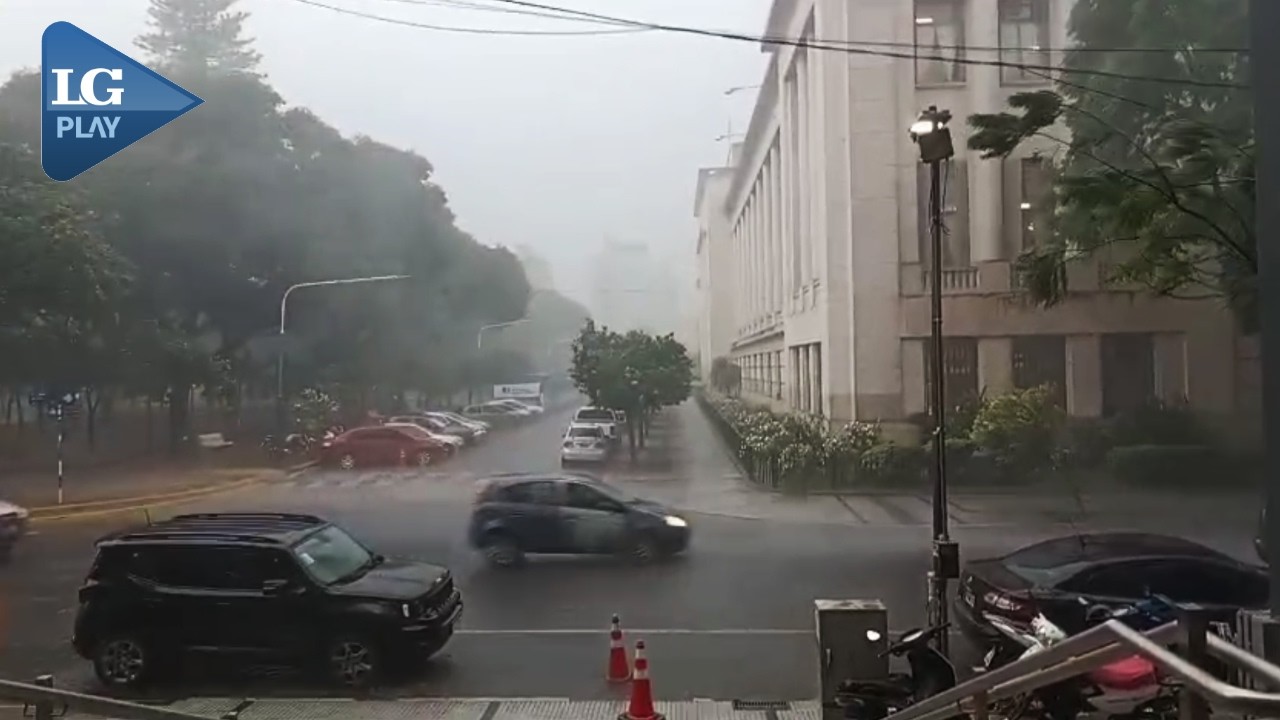 Árboles caídos y cortes de luz en varios puntos de la Provincia