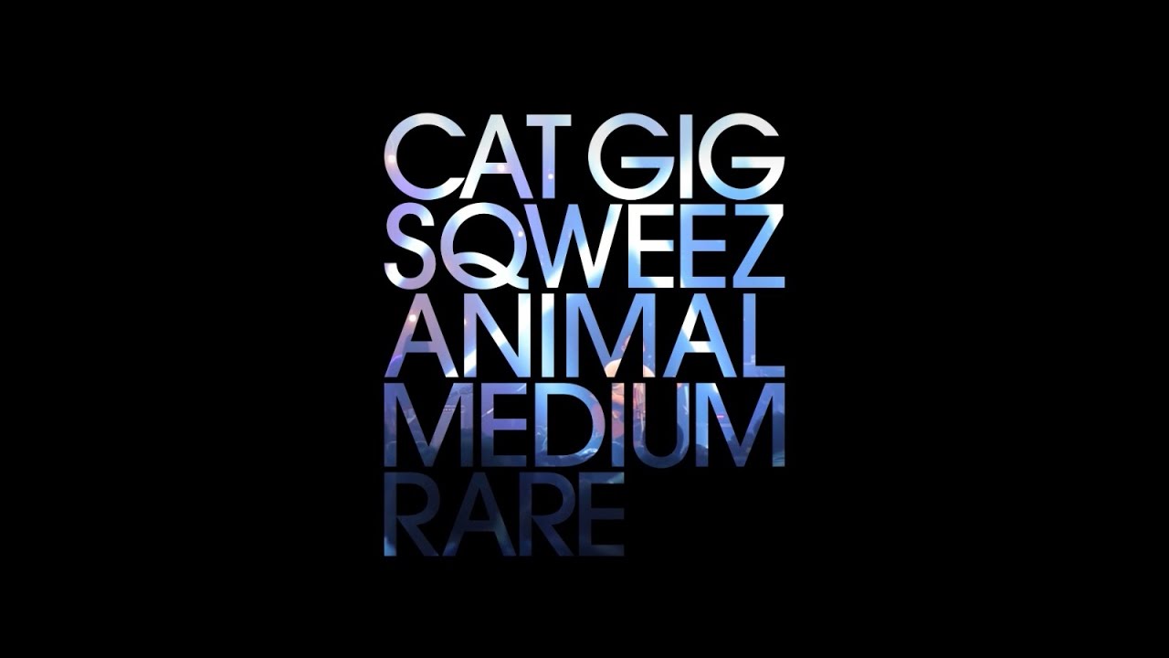 บันทึกการแสดงสด It’s Me Presents Cat GIG SQWEEZ ANIMAL