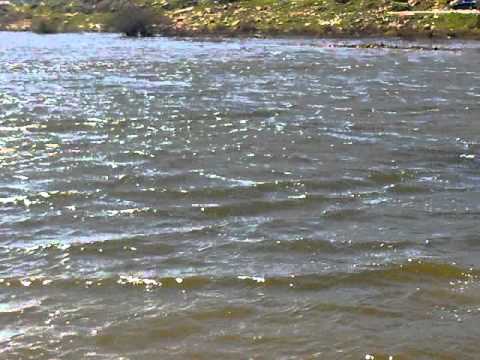 بالوع بيتونيا رام الله من اجمل المناطق