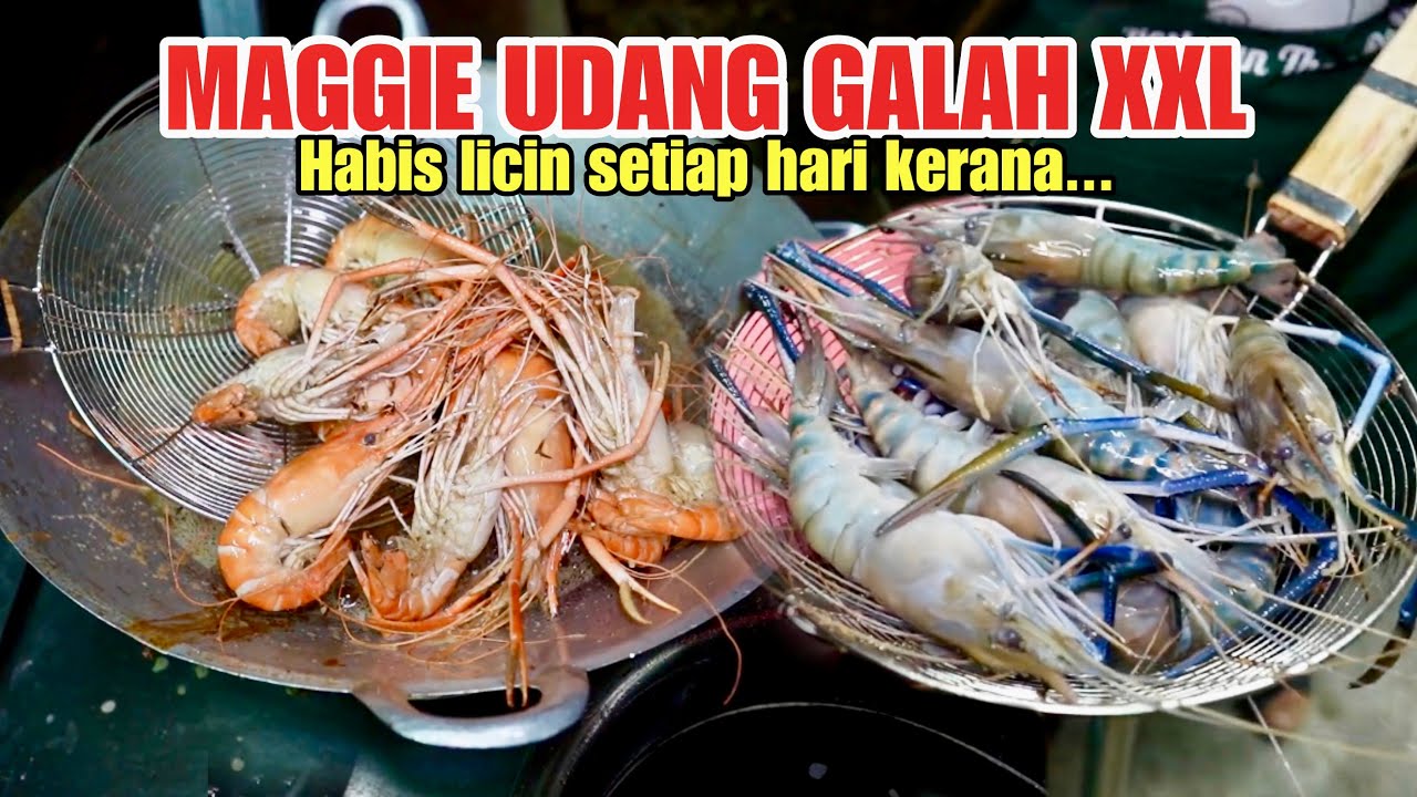 Ribuan kilo MAGGIE UDANG GALAH SIZE XXL habis terjual setiap hari di sebabkan.....