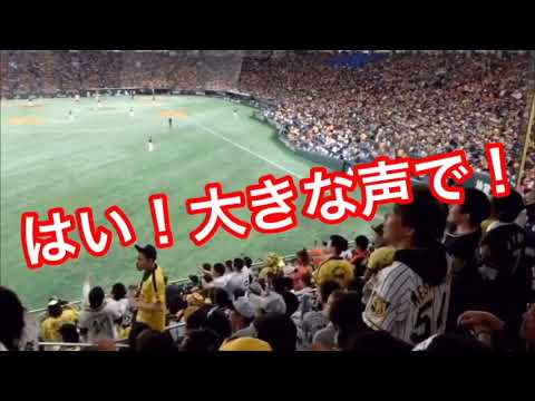阪神の読売煽りさすがにこれはやりすぎw