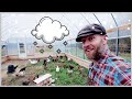 Greenhouse Chickens| Moving ALL to the Ultimate Winter Coop