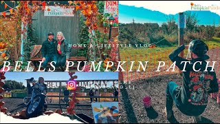 Bell's Pumpkin Patch | Pumpkin Picking | Pumpkin Canon | Lincolnshire, Boston | Wednesday Adams